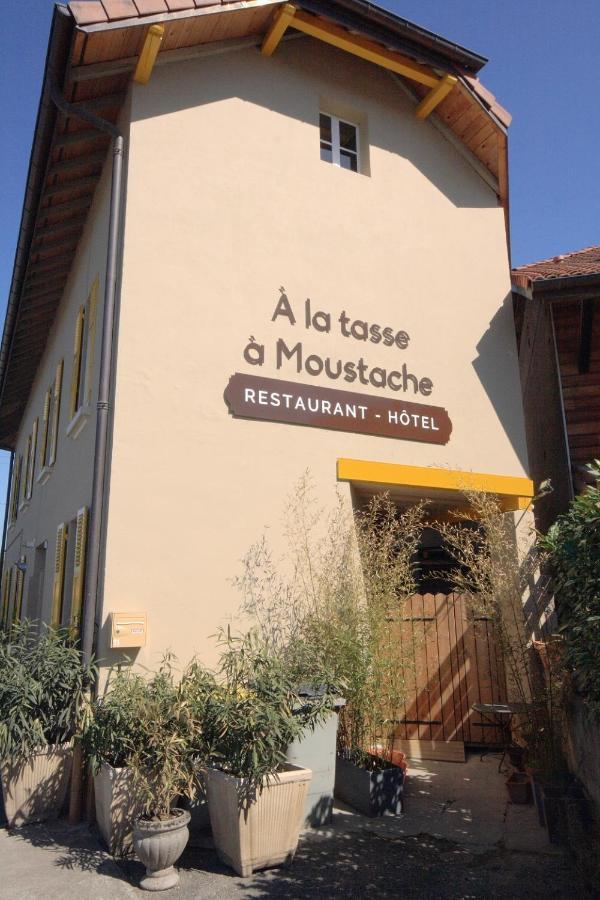 Hotel A La Tasse A Moustache Thonon-les-Bains Luaran gambar